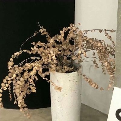 常熟FurryQQ群介绍